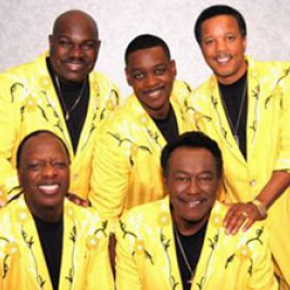 The Spinners  Image