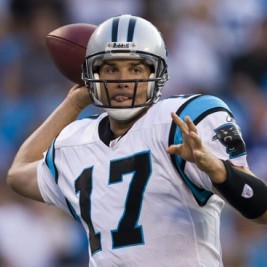 Jake Delhomme  Image